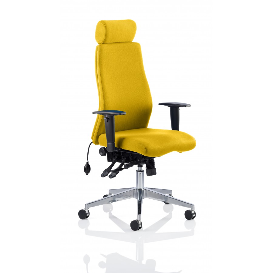 Chiro Curve 24 Hour Bespoke Posture Office Chair